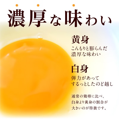 【3回便】名古屋コーチン卵・仙寿卵お試しセット 各10個入り×3回 [006K02-T]