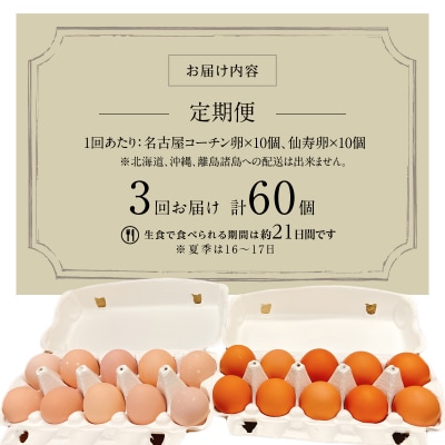 【3ヶ月定期便】名古屋コーチン卵・仙寿卵お試しセット(各10個入り)×3回 [006K02-T]