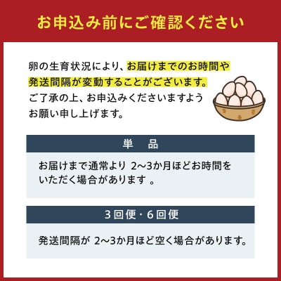 【3回便】名古屋コーチン卵・仙寿卵お試しセット 各10個入り×3回 [006K02-T]
