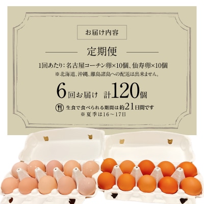 【6ヶ月定期便】名古屋コーチン卵・仙寿卵お試しセット(各10個入り)×6回[006K04-T]