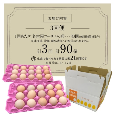 【3回便】名古屋コーチン卵 30個入り×3回(計90個)[006K01-T]