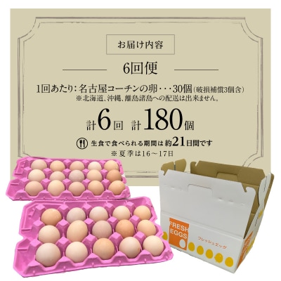 【6回便】名古屋コーチン卵 30個入り×6回(計180個)[006K03-T]