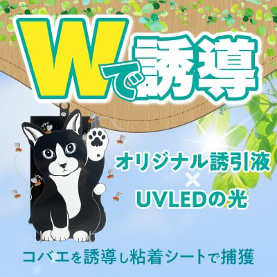 ハチワレ猫君の「コバエとれるかな」[084M01]