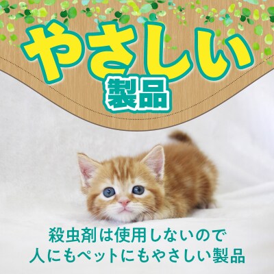 ハチワレ猫君の「コバエとれるかな」[084M01]