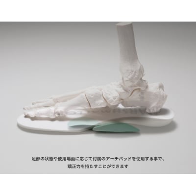 フュージョンフレキシーMARSHMALLOW(マシュマロ)サイズ:XL　[030M13-05]