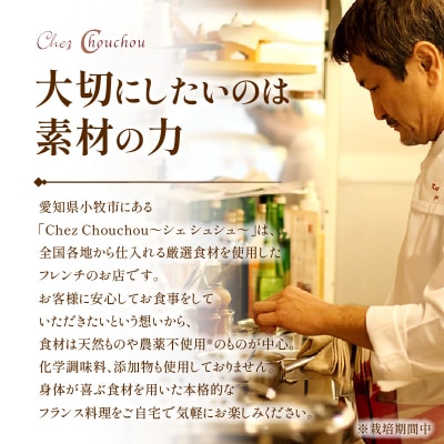 名古屋コーチンのボーンブロス[043C09]