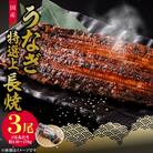 老舗のうなぎ　【特選上長焼】3尾セット(秘伝のタレ・山椒付)[081N05]