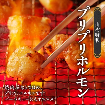 山樹の国産牛白ころホルモン焼き(丸腸)味付　600g[047R26]