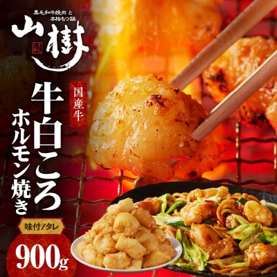 山樹の国産牛白ころホルモン焼き(丸腸)味付　900g [047R27]