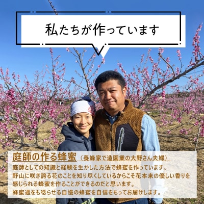 桃畑で作った完熟非加熱はちみつ 200g パウチ入り ポスト便[055A27]