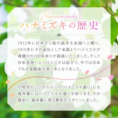 SV ハナミズキペンダントネックレス[ギフト 誕生日 バレンタイン ホワイトデー ][016K24]