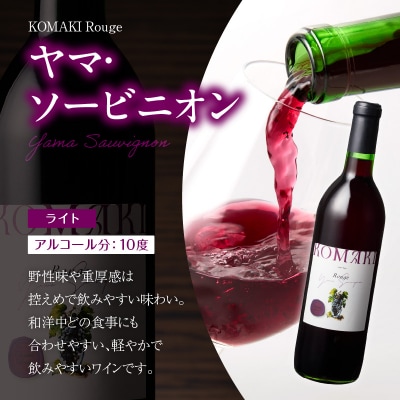 小牧ワイナリ― 赤ワイン2本飲み比べセット(小牧産ぶどう100%使用) [026A08]
