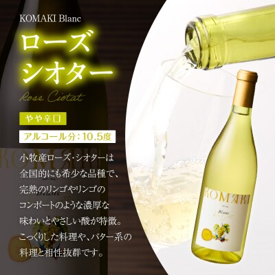 小牧ワイナリ― 赤・白ワイン2本セット【限定50セット】(小牧産ぶどう100%使用)[026A10]