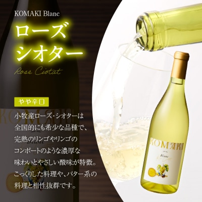 小牧ワイナリ― 赤・白ワイン2本セット【限定50セット】(小牧産ぶどう100%使用)[026A10]