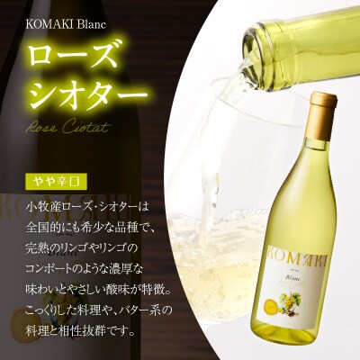 小牧ワイナリ― 赤・白ワイン2本セット【限定50セット】(小牧産ぶどう100%使用)[026A10]