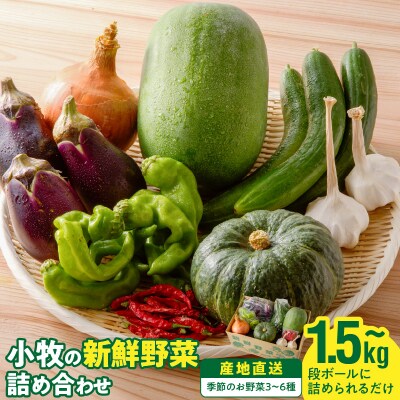 ネオコスモ農園で採れた小牧の野菜詰め合わせ[124N01]