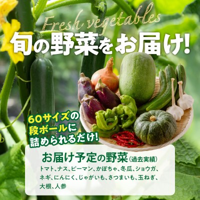ネオコスモ農園で採れた小牧の野菜詰め合わせ[124N01]