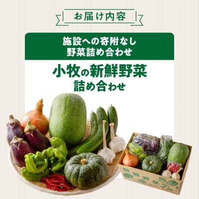 ネオコスモ農園で採れた小牧の野菜詰め合わせ[124N01]
