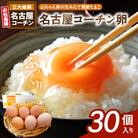 【山ちゃん家の生みたて葉酸たまご】名古屋コーチン卵(30個入り)　[132Y01]