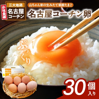 【山ちゃん家の生みたて葉酸たまご】名古屋コーチン卵(30個入り)　[132Y01]