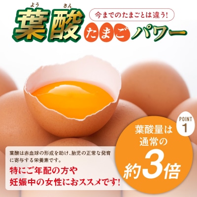 【山ちゃん家の生みたて葉酸たまご】名古屋コーチン卵(30個入り)　[132Y01]