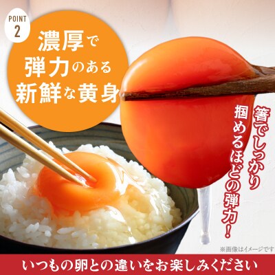 【山ちゃん家の生みたて葉酸たまご】名古屋コーチン卵(30個入り)　[132Y01]