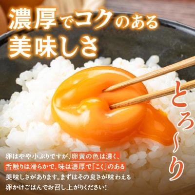 【山ちゃん家の生みたて葉酸たまご】名古屋コーチン卵(30個入り)　[132Y01]