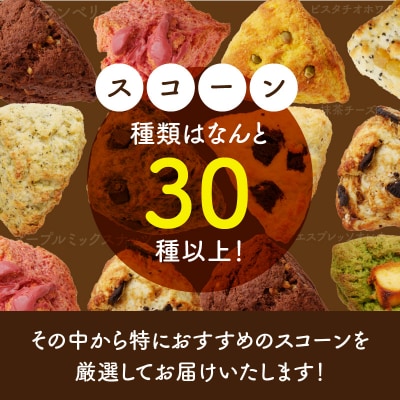 ベーグル専門店pan de pan 888のおまかせスコーンセット(10個入り)[144P02]