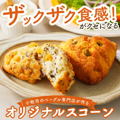 pan de pan 888のおまかせベーグル・スコーンセット(10個入り)[144P03]