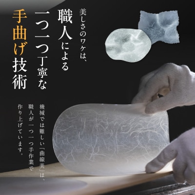 うつ和Premium Black「花」(PB001)(5枚入) 食器 皿 器 日本製[111N02]