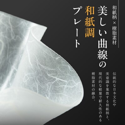 うつ和Premium Black「波・角」(PB003)(2枚入) 食器 皿 日本製[111N05]