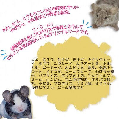 fuu うまうまセレクション マウスのごはん(920g)　[145S02]