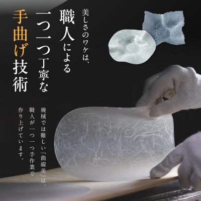 うつ和シリーズ「角(大)」(UT006A)(2枚入り) 食器 皿 器 日本製[111N13]
