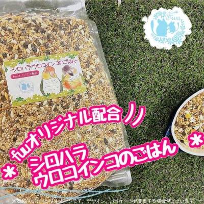 fuu シロハラインコ・ウロコインコのごはん(150g)　[145S55]