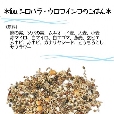 fuu シロハラインコ・ウロコインコのごはん(150g)　[145S55]