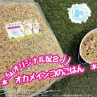 fuu オカメインコのごはん(400g)　[145S50]