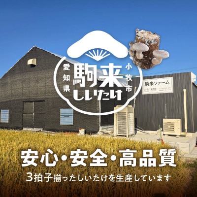 駒来ファームの肉厚乾しいたけ・スライス乾しいたけ　[131L02]