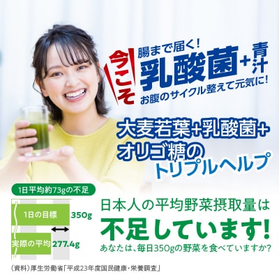【2ヶ月に1度、6回送付定期便】乳酸菌+大麦若葉粉末60H　[027Y24-T]