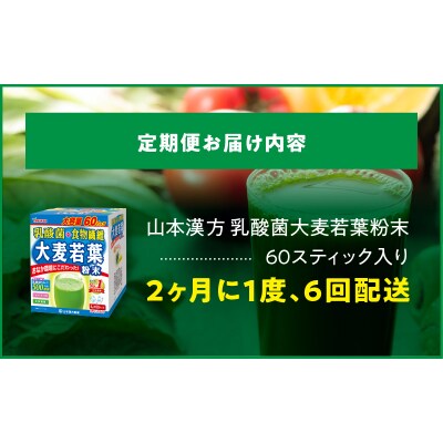 【2ヶ月に1度、6回送付定期便】乳酸菌+大麦若葉粉末60H　[027Y24-T]