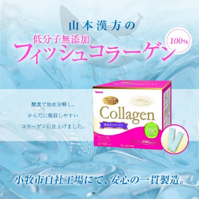 【2ヶ月に1度、3回送付定期便】山本漢方のコラーゲン　[027Y20-T]