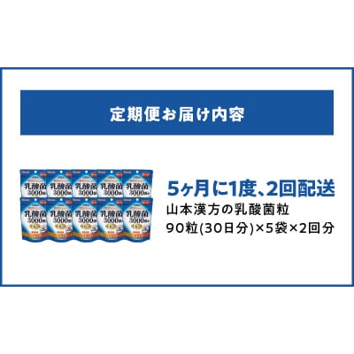 【5ヶ月に1度、2回送付定期便】乳酸菌粒　[027Y25-T]