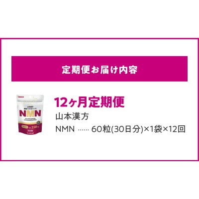 【12ヶ月連続定期便】NMN　[027Y29-T]