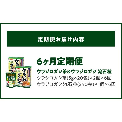 【6ヶ月連続定期便】ウラジロガシ茶&ウラジロガシ 流石粒　[027Y33-T]