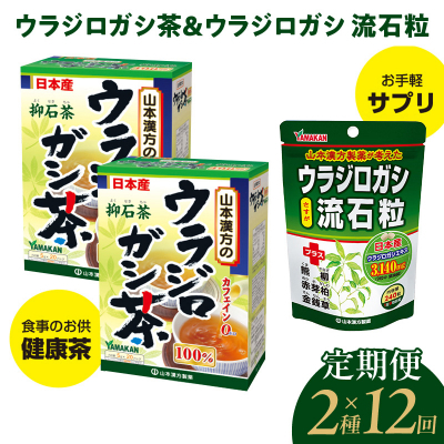 【12ヶ月連続定期便】ウラジロガシ茶&ウラジロガシ 流石粒　[027Y34-T]