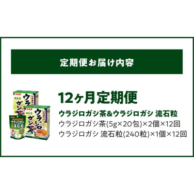 【12ヶ月連続定期便】ウラジロガシ茶&ウラジロガシ 流石粒　[027Y34-T]