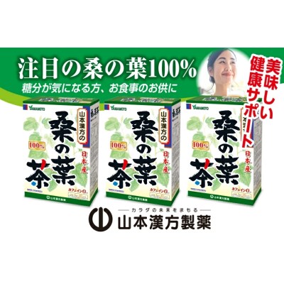 【2ヶ月に1度、3回送付定期便】桑の葉茶　[027Y39-T]