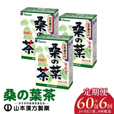 【2ヶ月に1度、6回送付定期便】桑の葉茶　[027Y40-T]