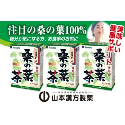 【2ヶ月に1度、6回送付定期便】桑の葉茶　[027Y40-T]