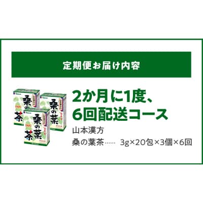 【2ヶ月に1度、6回送付定期便】桑の葉茶　[027Y40-T]