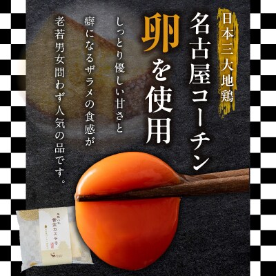 尾張小牧黄金カステラ(名古屋コーチンカステラ)5個入 個包装 ざらめ[120A01]